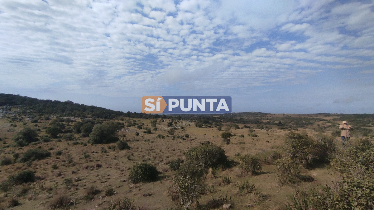 Campo Ref.12110 - Campo en venta, Maldonado, en la zona del Cerro Catedral