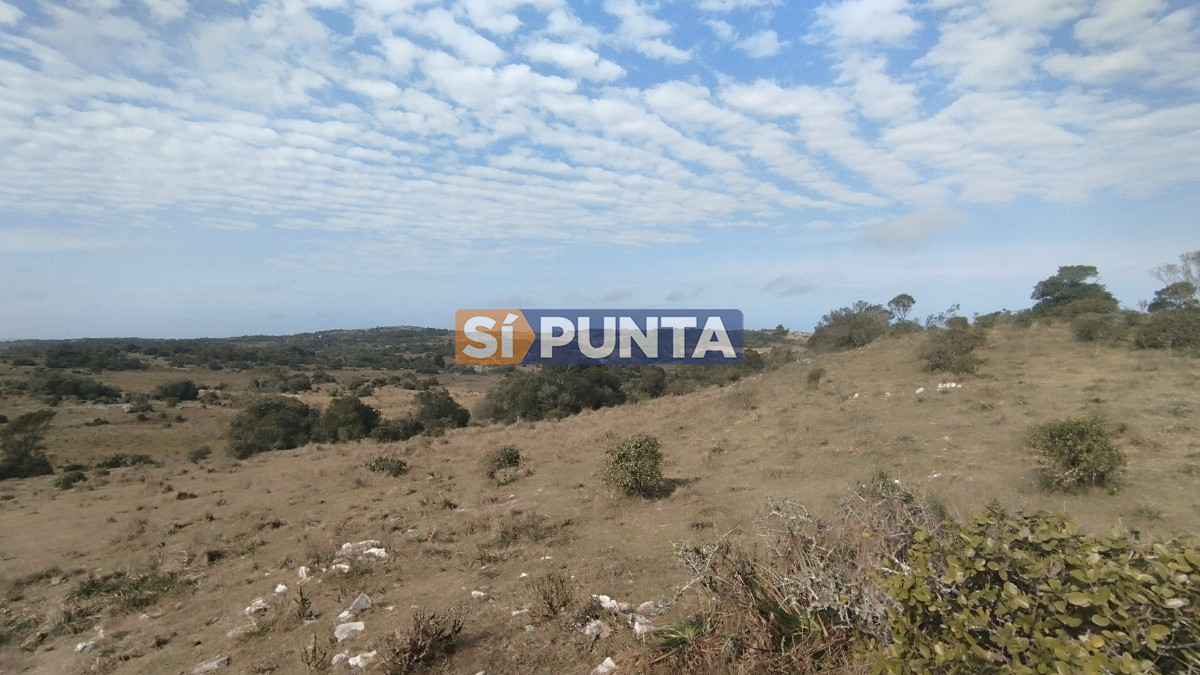 Campo Ref.12110 - Campo en venta, Maldonado, en la zona del Cerro Catedral