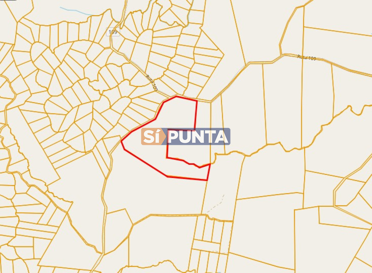 Campo Ref.12110 - Campo en venta, Maldonado, en la zona del Cerro Catedral