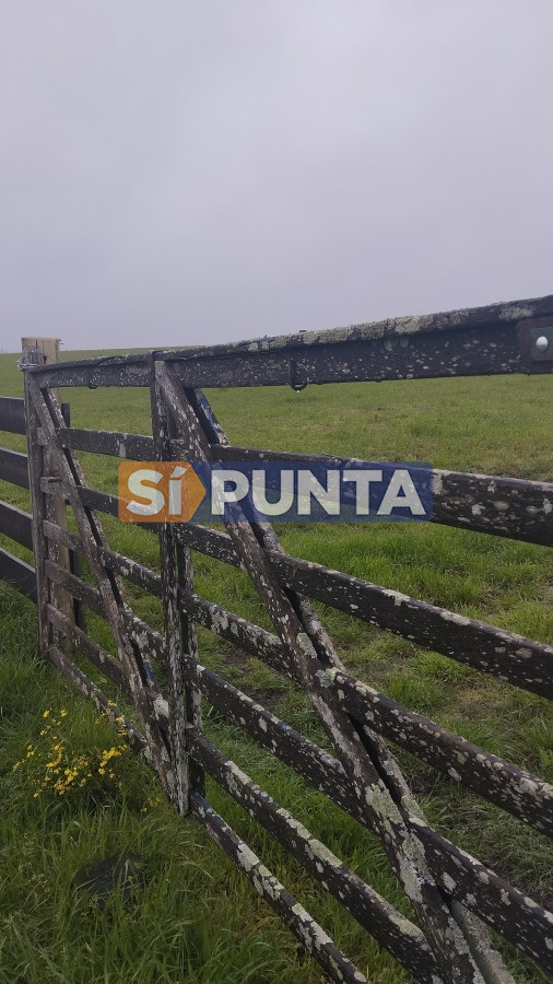 Campo Ref.11284 - Campo de casi 9 hectáreas en venta 