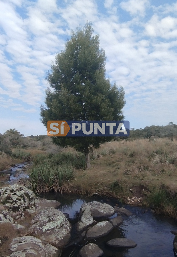 Campo Ref.12110 - Campo en venta, Maldonado, en la zona del Cerro Catedral