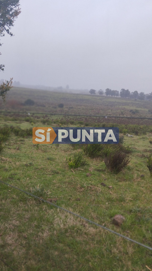 Campo Ref.11284 - Campo de casi 9 hectáreas en venta 