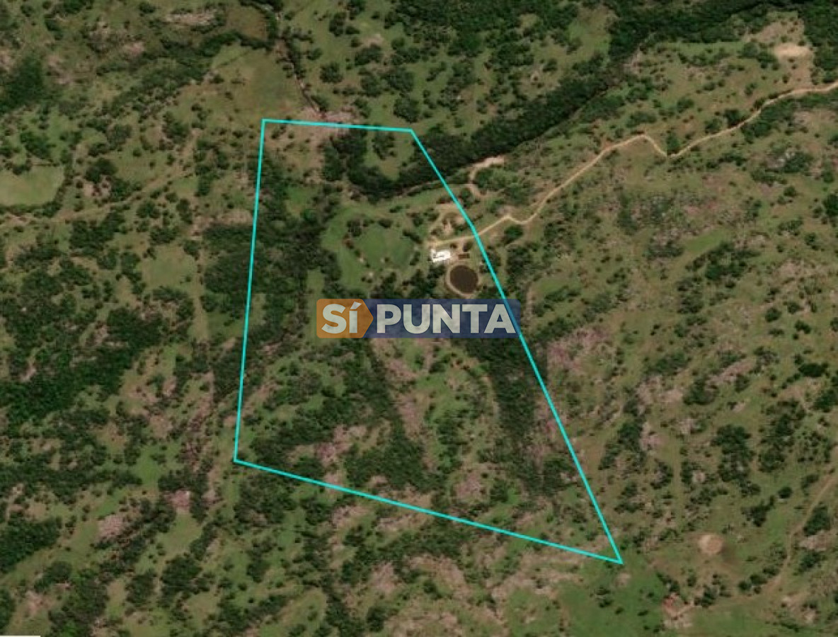 Campo Ref.12109 - Campo en venta, a los pies del Cerro Catedral, Aigua