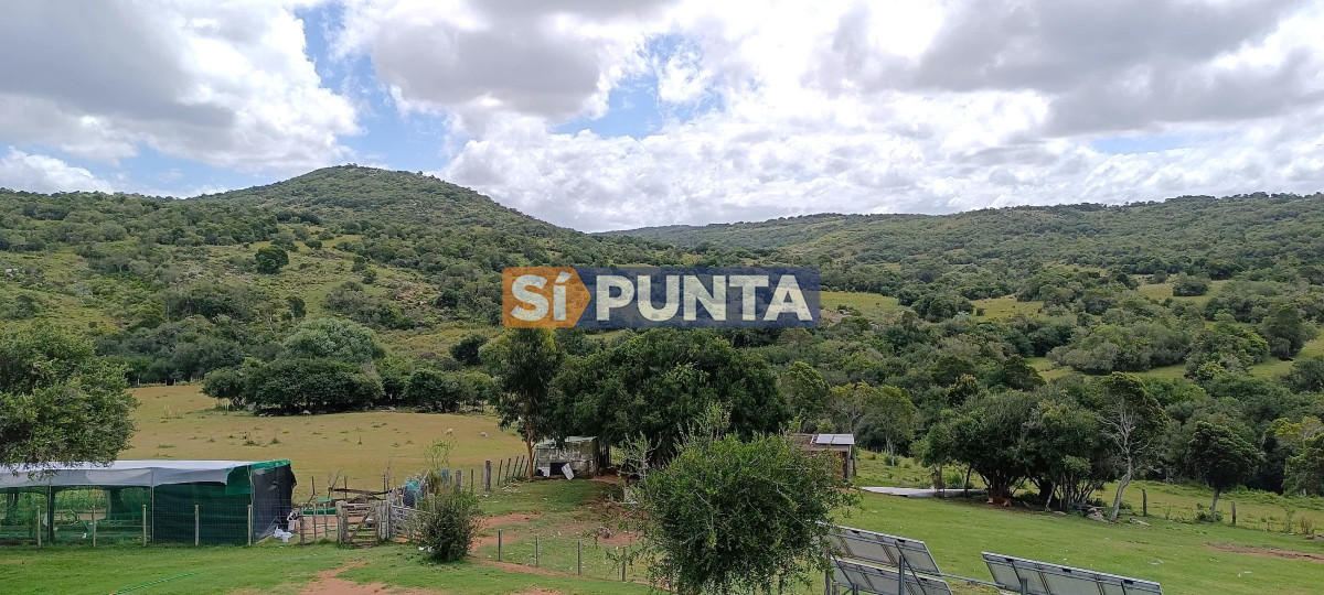 Campo Ref.12109 - Campo en venta, a los pies del Cerro Catedral, Aigua