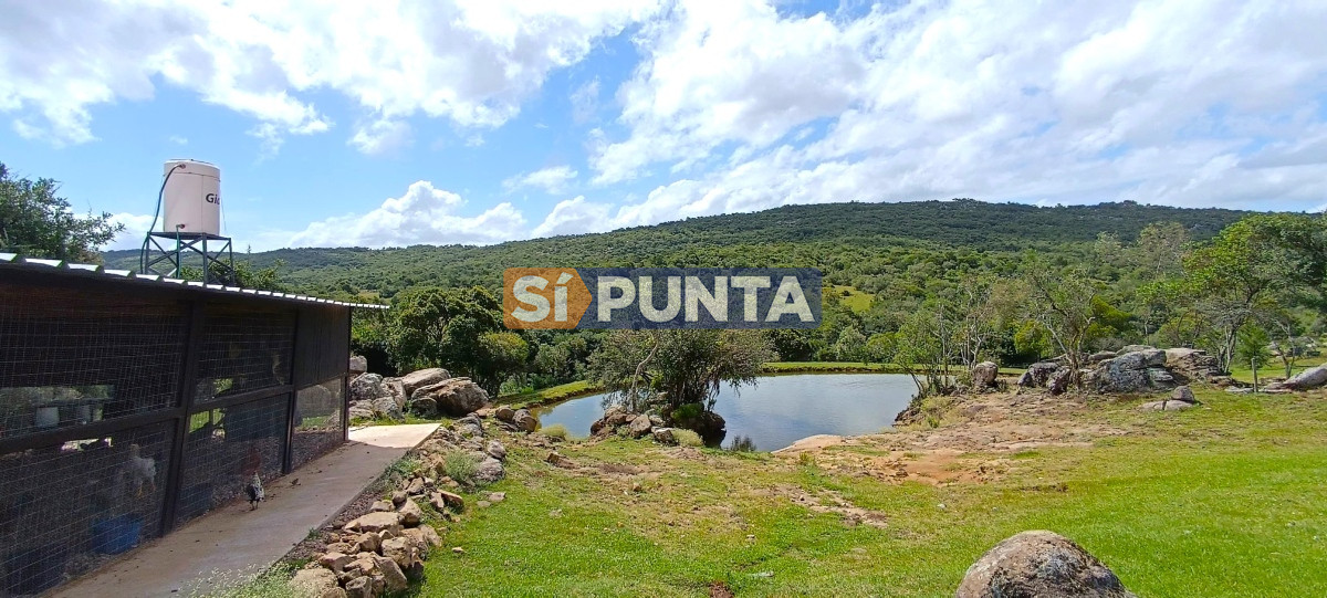 Campo Ref.12109 - Campo en venta, a los pies del Cerro Catedral, Aigua