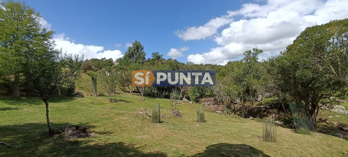 Campo Ref.12109 - Campo en venta, a los pies del Cerro Catedral, Aigua