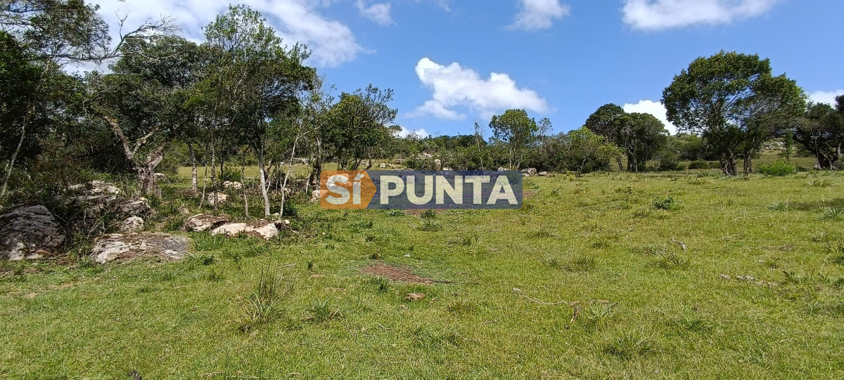 Campo Ref.12109 - Campo en venta, a los pies del Cerro Catedral, Aigua