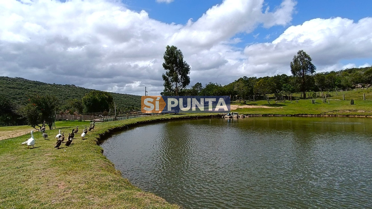 Campo Ref.12109 - Campo en venta, a los pies del Cerro Catedral, Aigua