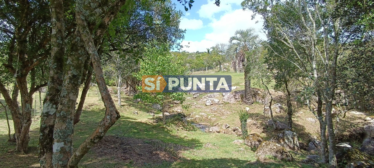 Campo Ref.12109 - Campo en venta, a los pies del Cerro Catedral, Aigua