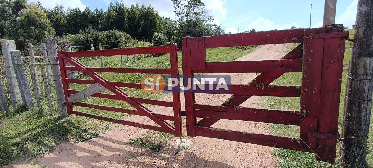 Campo Ref.12109 - Campo en venta, a los pies del Cerro Catedral, Aigua