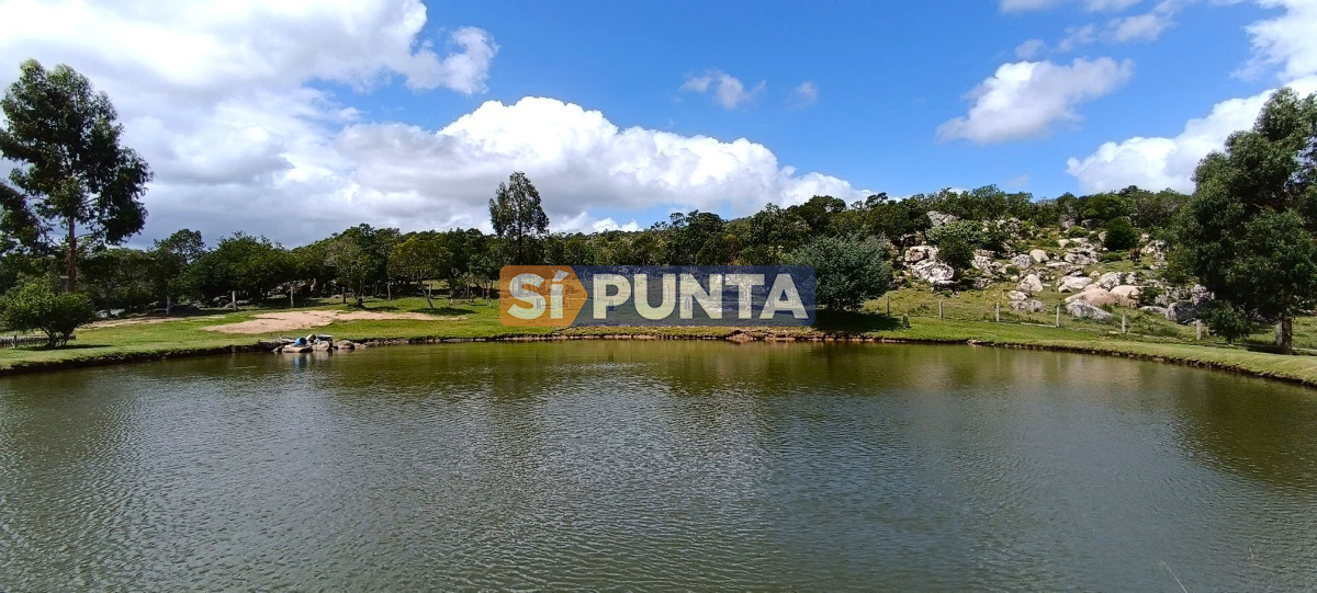 Campo Ref.12109 - Campo en venta, a los pies del Cerro Catedral, Aigua