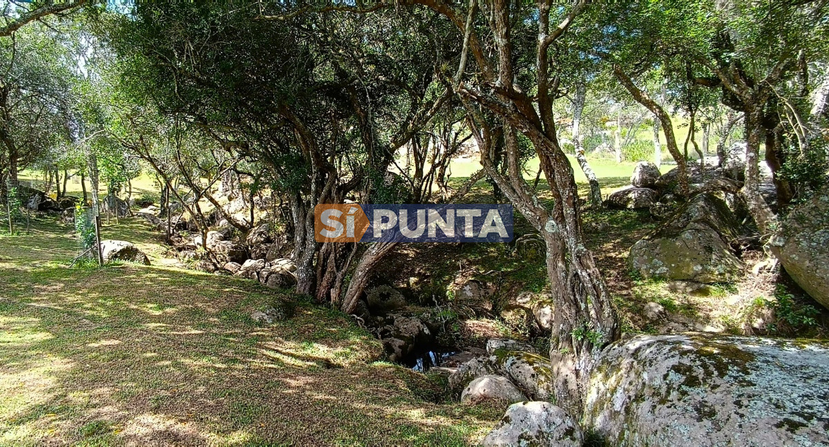 Campo Ref.12109 - Campo en venta, a los pies del Cerro Catedral, Aigua