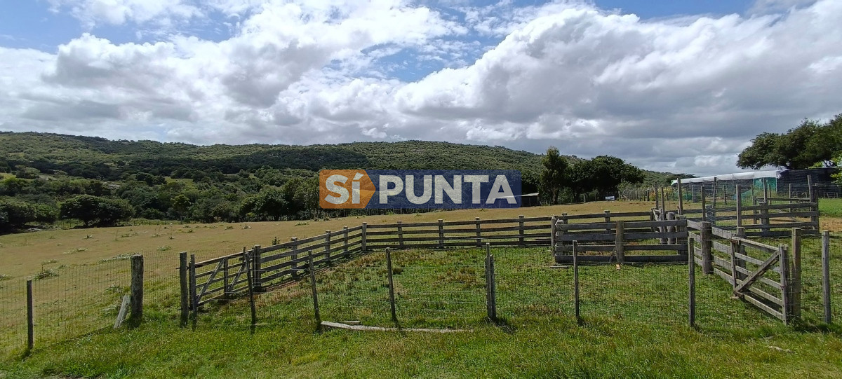 Campo Ref.12109 - Campo en venta, a los pies del Cerro Catedral, Aigua