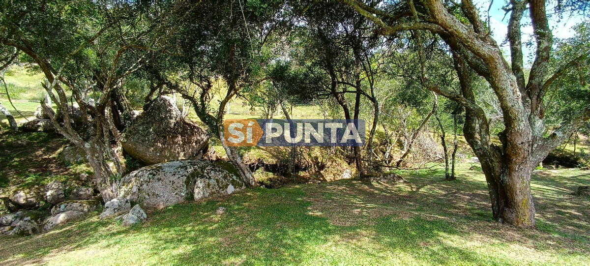 Campo Ref.12109 - Campo en venta, a los pies del Cerro Catedral, Aigua