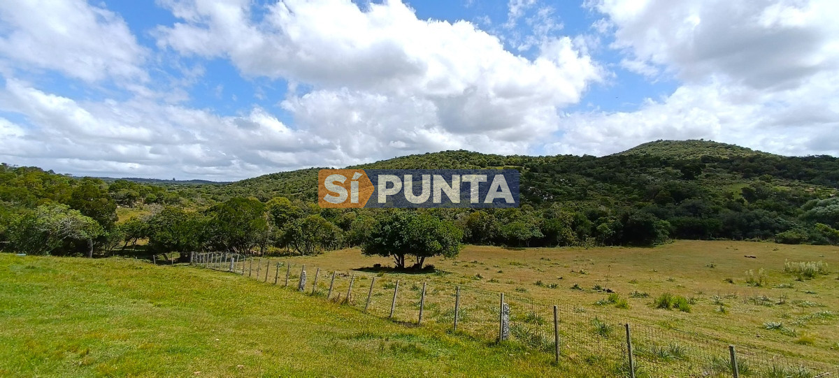 Campo Ref.12109 - Campo en venta, a los pies del Cerro Catedral, Aigua