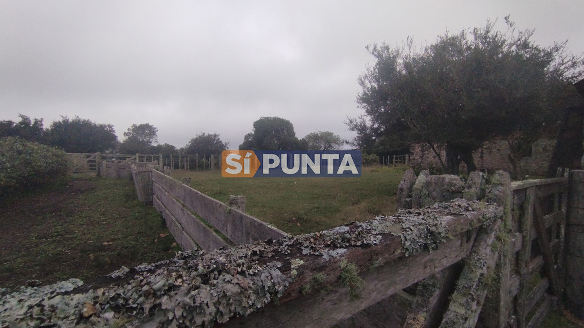 Campo Ref.12110 - Campo en venta, Maldonado, en la zona del Cerro Catedral