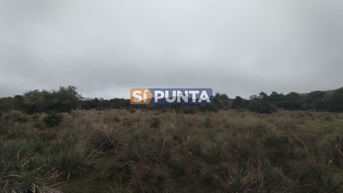 Campo Ref.12110 - Campo en venta, Maldonado, en la zona del Cerro Catedral