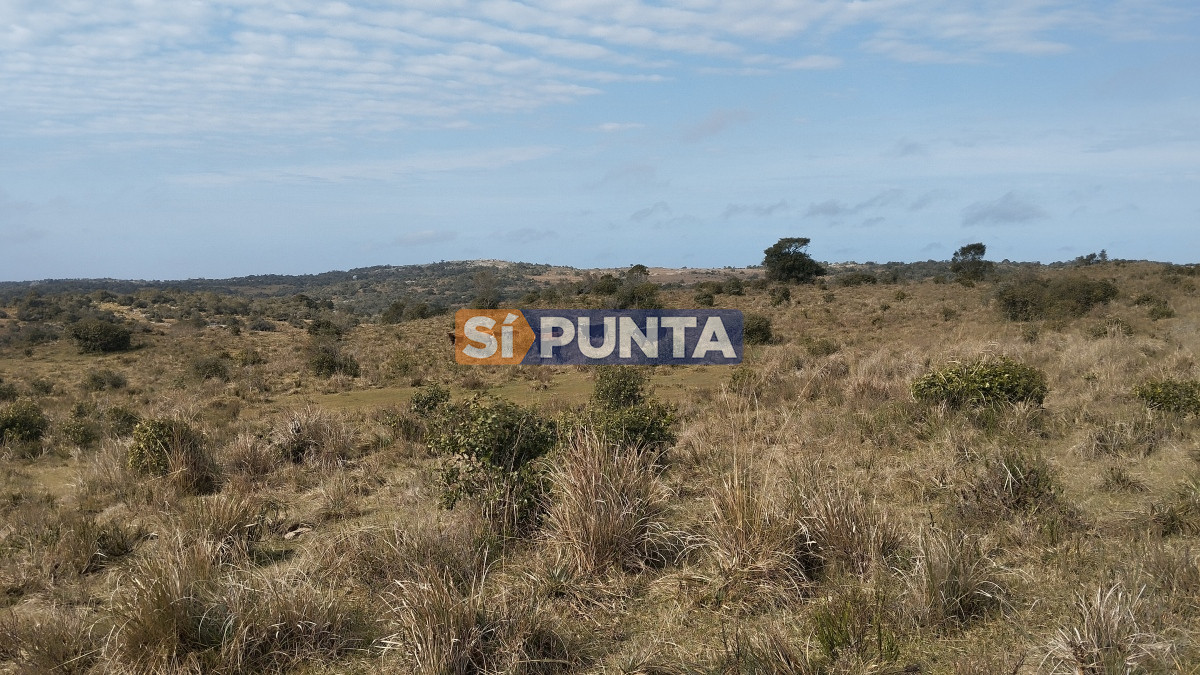 Campo Ref.12110 - Campo en venta, Maldonado, en la zona del Cerro Catedral