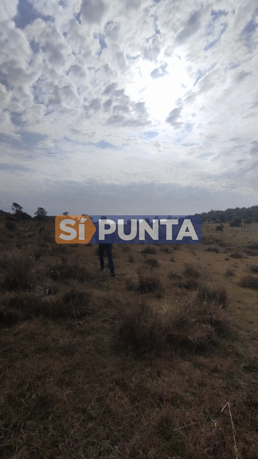 Campo Ref.12110 - Campo en venta, Maldonado, en la zona del Cerro Catedral
