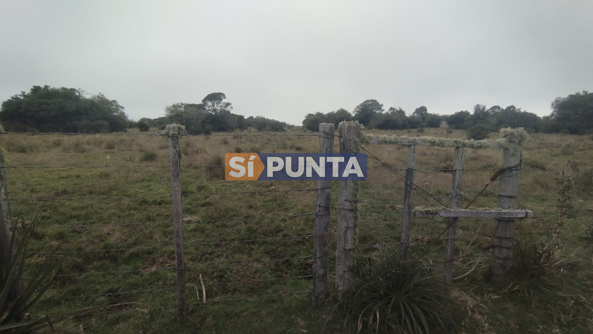 Campo Ref.12110 - Campo en venta, Maldonado, en la zona del Cerro Catedral