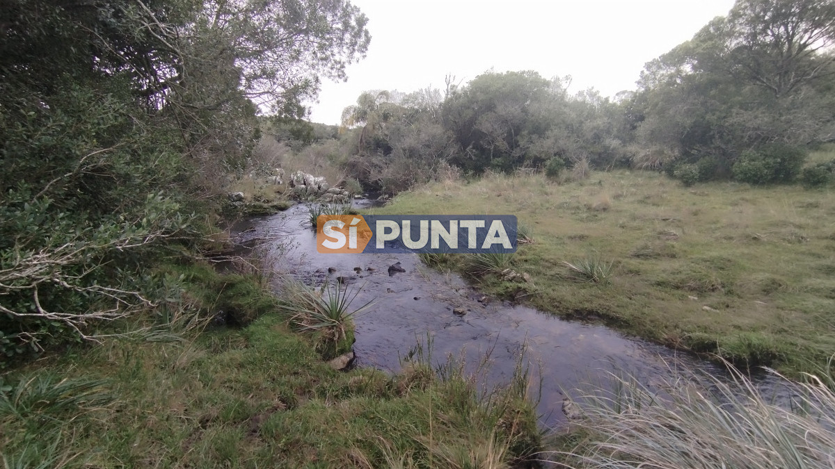 Campo Ref.12110 - Campo en venta, Maldonado, en la zona del Cerro Catedral