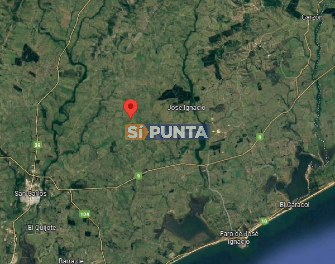 Campo Ref.11284 - Campo de casi 9 hectáreas en venta 