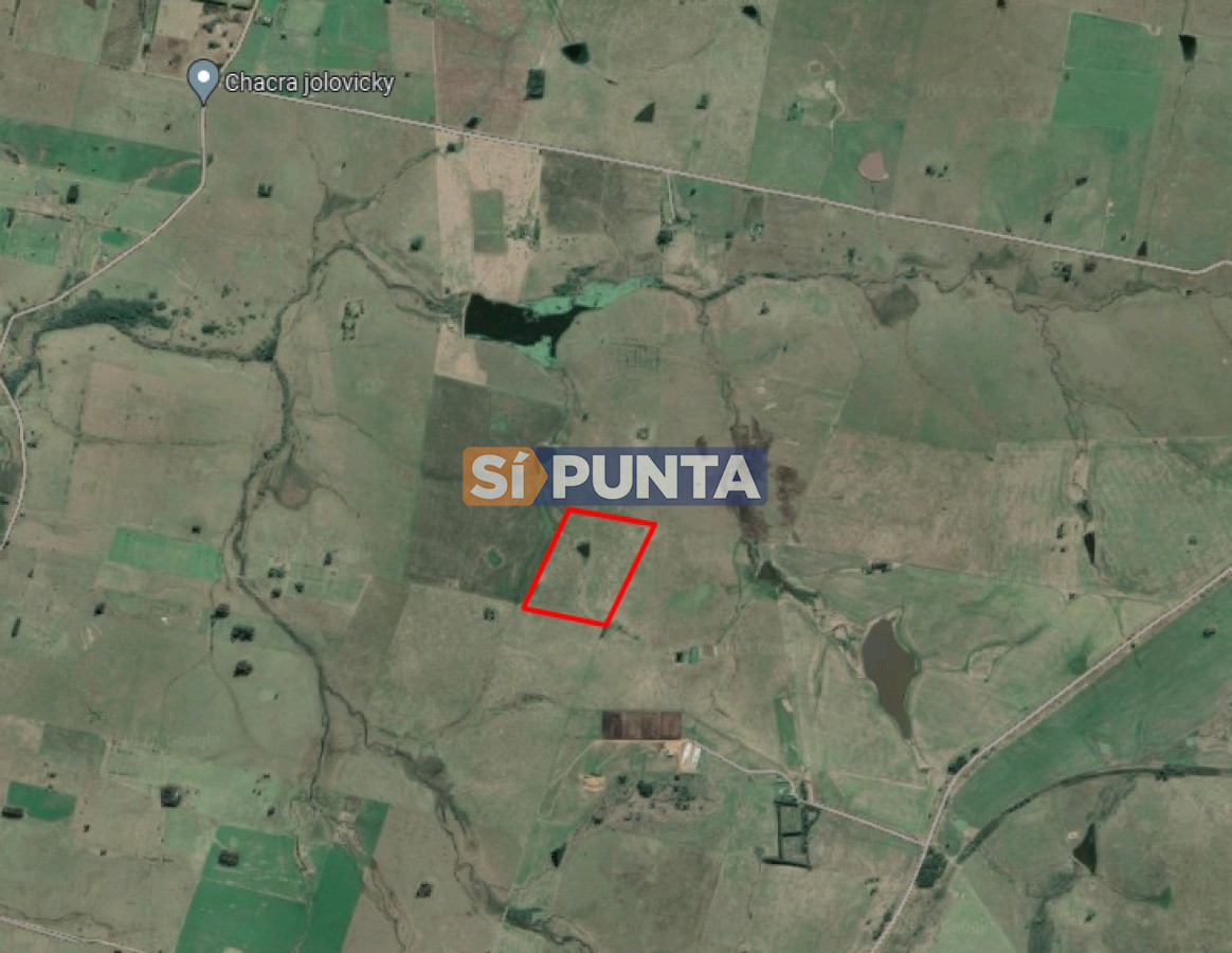 Campo Ref.11284 - Campo de casi 9 hectáreas en venta 