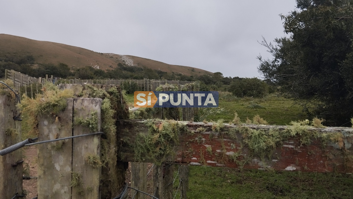 Campo Ref.12110 - Campo en venta, Maldonado, en la zona del Cerro Catedral