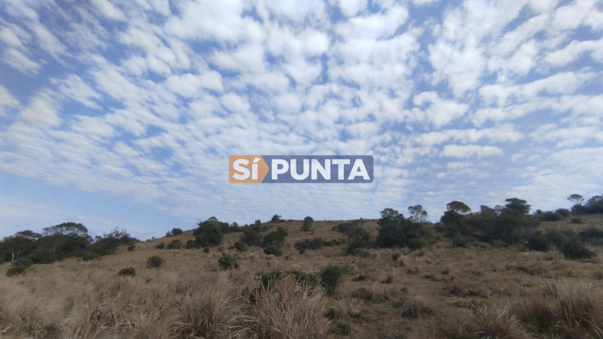 Campo Ref.12110 - Campo en venta, Maldonado, en la zona del Cerro Catedral