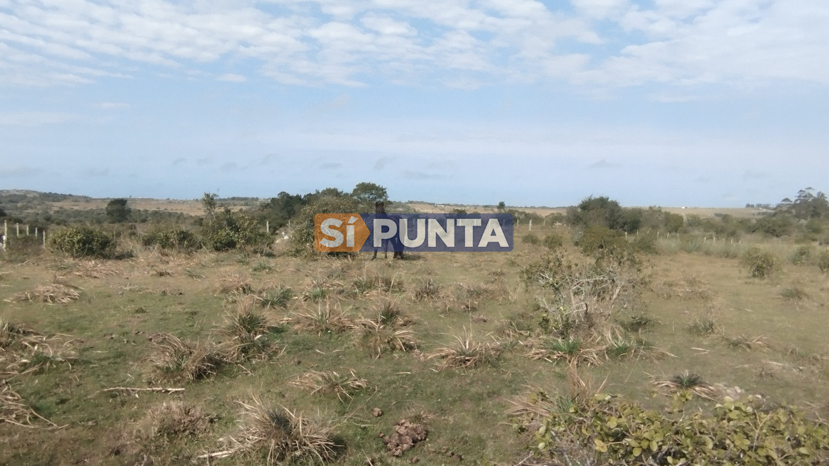 Campo Ref.12110 - Campo en venta, Maldonado, en la zona del Cerro Catedral
