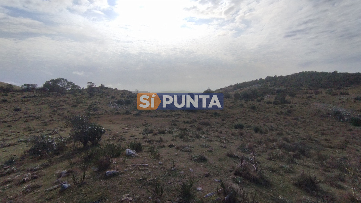 Campo Ref.12110 - Campo en venta, Maldonado, en la zona del Cerro Catedral