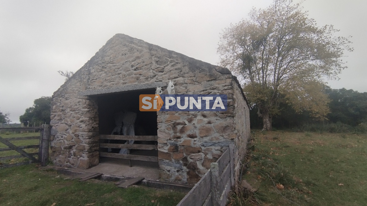 Campo Ref.12110 - Campo en venta, Maldonado, en la zona del Cerro Catedral