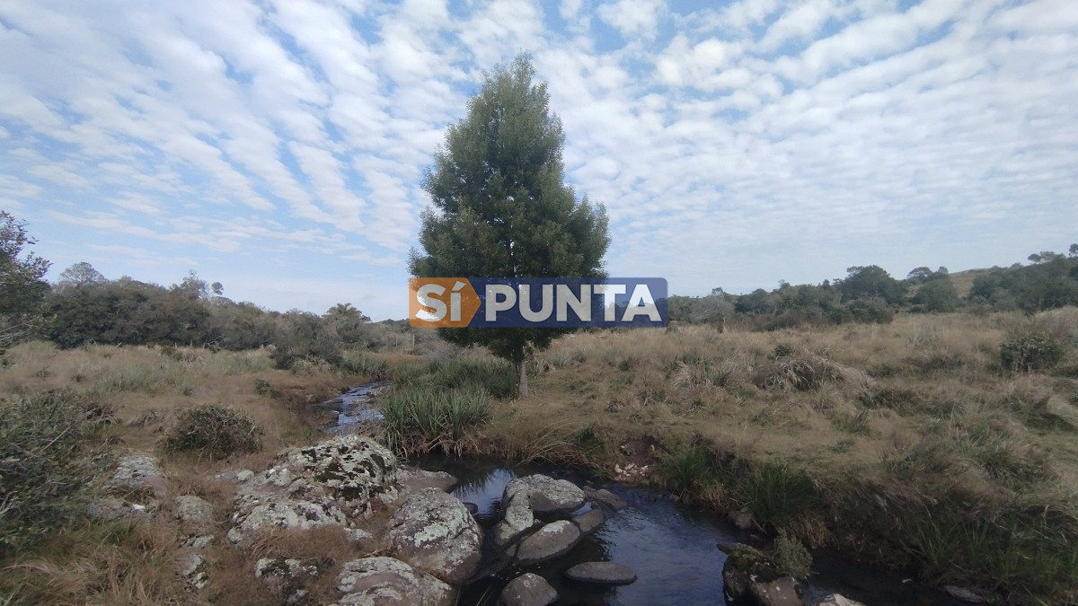 Campo Ref.12110 - Campo en venta, Maldonado, en la zona del Cerro Catedral