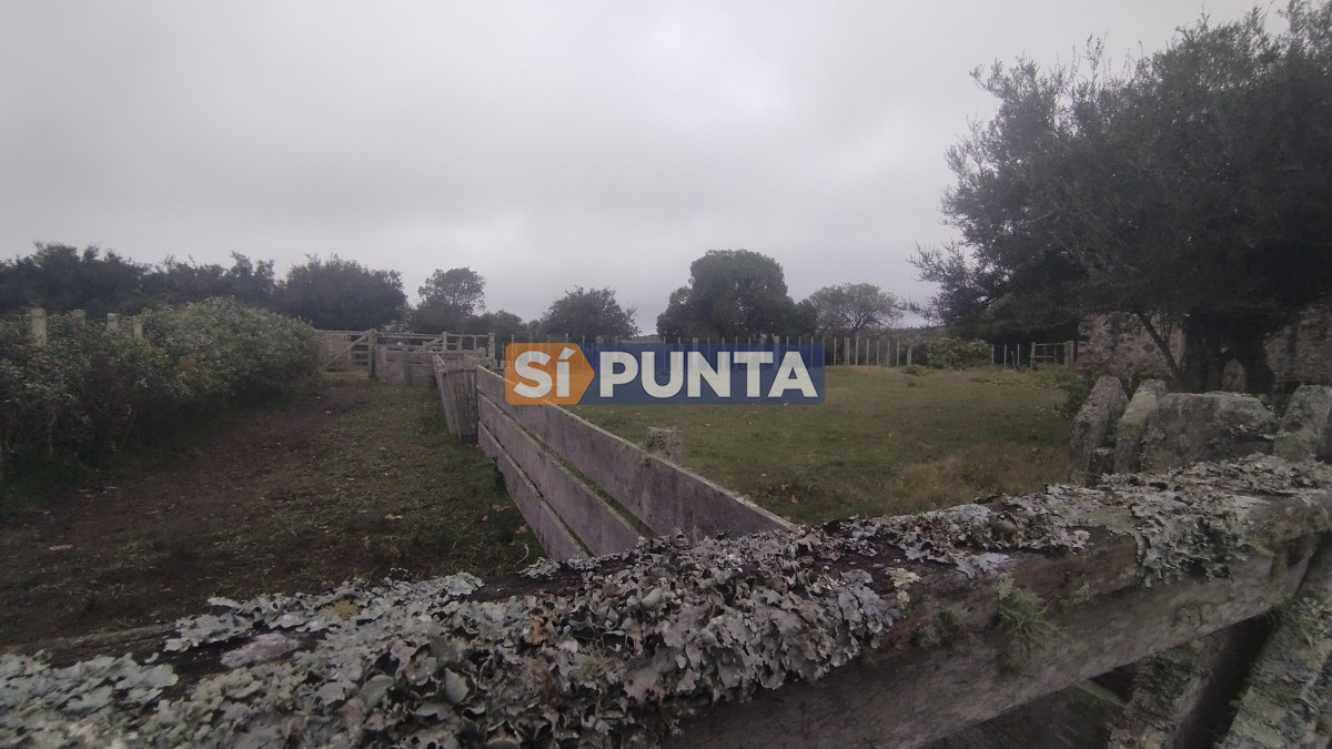 Campo Ref.12110 - Campo en venta, Maldonado, en la zona del Cerro Catedral