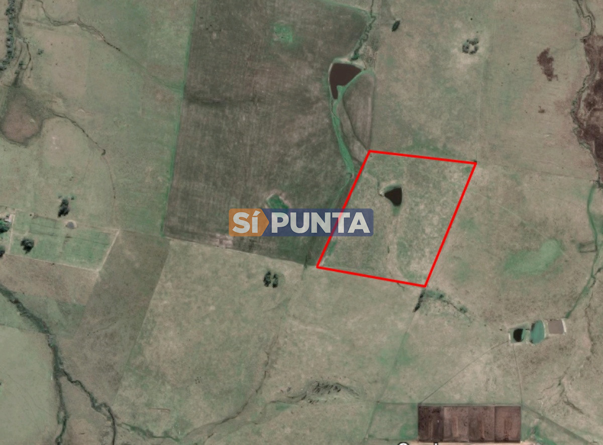 Campo Ref.11284 - Campo de casi 9 hectáreas en venta 