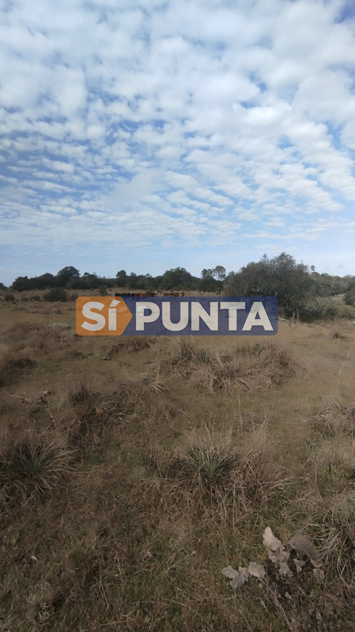 Campo Ref.12110 - Campo en venta, Maldonado, en la zona del Cerro Catedral