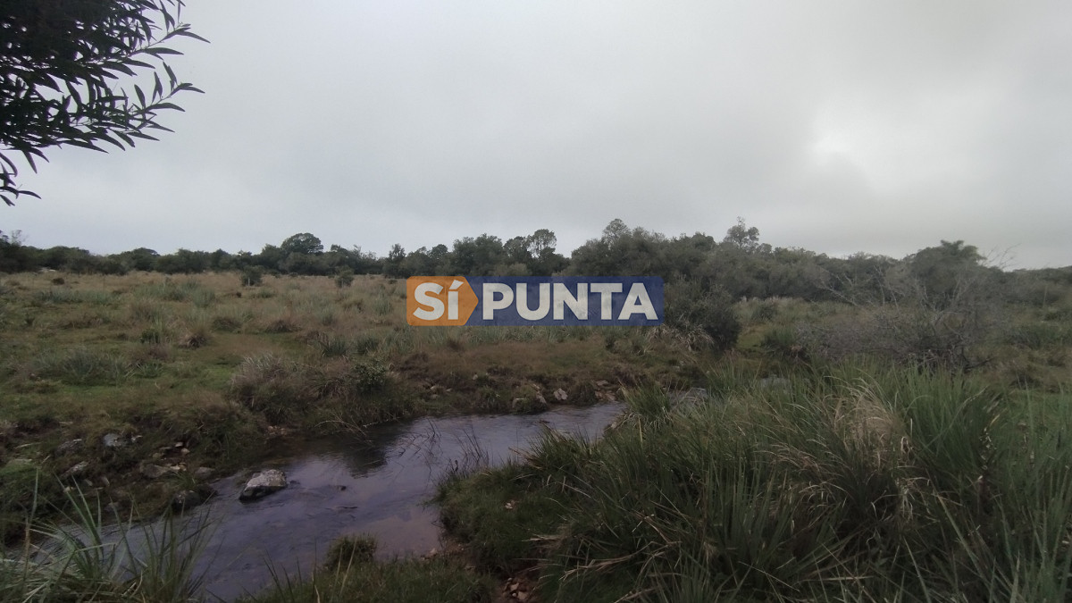 Campo Ref.12110 - Campo en venta, Maldonado, en la zona del Cerro Catedral