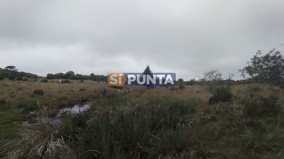 Campo Ref.12110 - Campo en venta, Maldonado, en la zona del Cerro Catedral