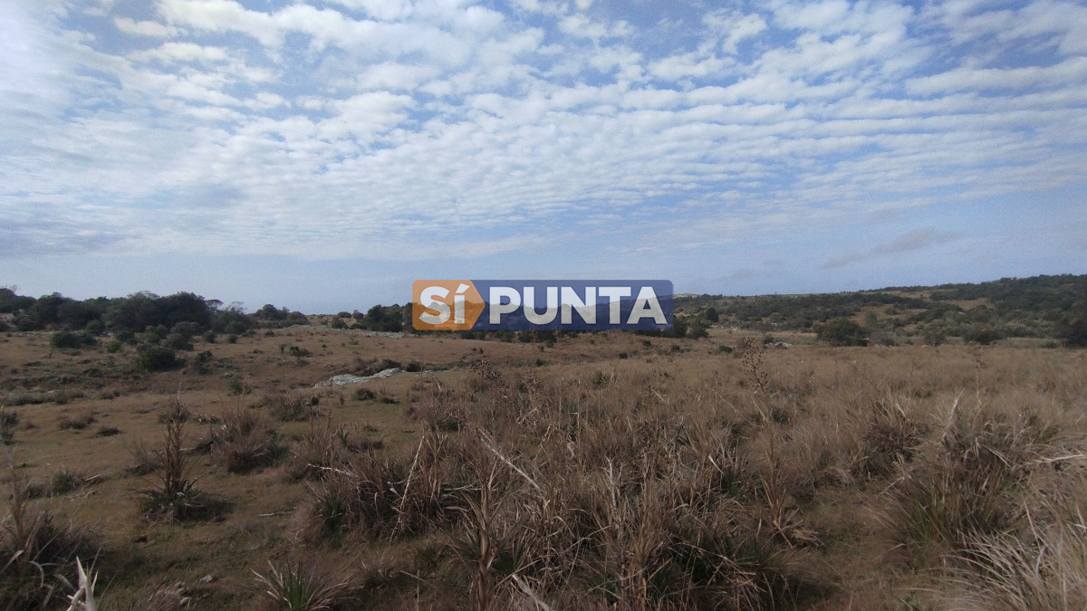 Campo Ref.12110 - Campo en venta, Maldonado, en la zona del Cerro Catedral