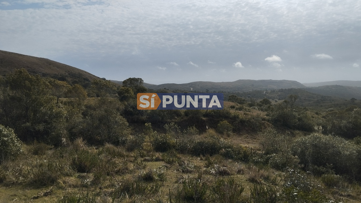 Campo Ref.12110 - Campo en venta, Maldonado, en la zona del Cerro Catedral