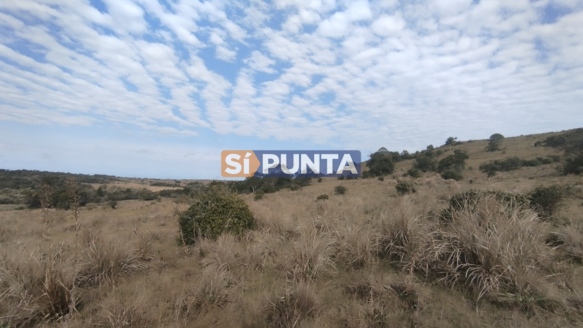 Campo Ref.12110 - Campo en venta, Maldonado, en la zona del Cerro Catedral