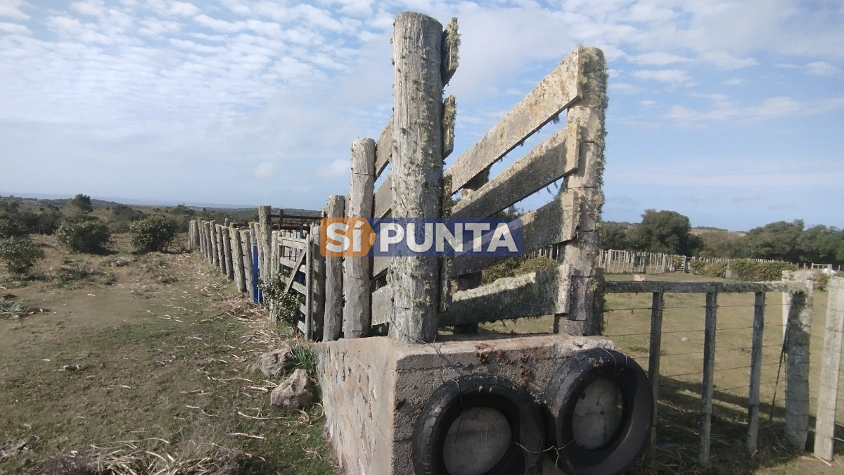 Campo Ref.12110 - Campo en venta, Maldonado, en la zona del Cerro Catedral