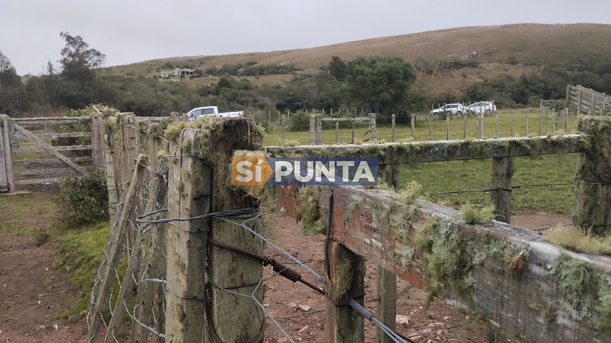 Campo Ref.12110 - Campo en venta, Maldonado, en la zona del Cerro Catedral