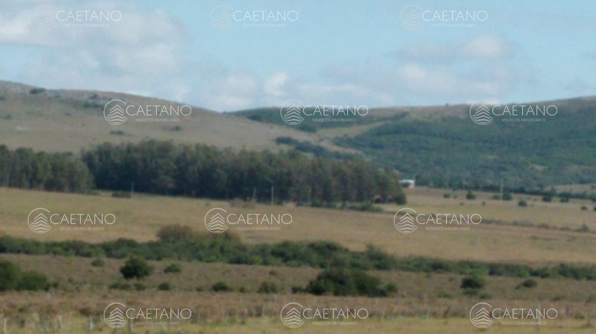 San Carlos - GoPunta - Portal Inmobiliario de Punta del Este - Maldonado