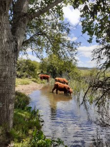 Chacra en venta, San Carlos, zona Partido Norte