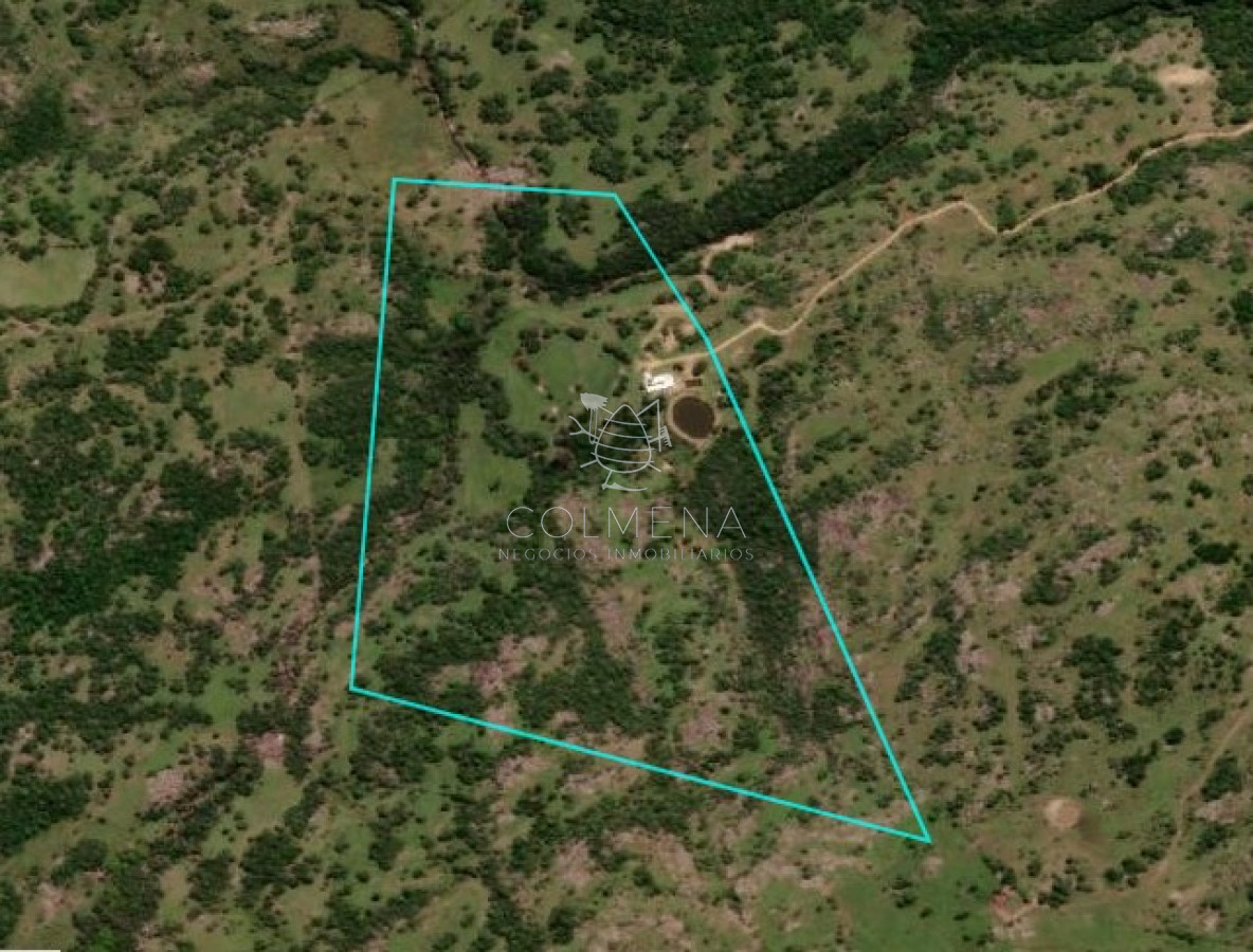 Campo en venta, a los pies del Cerro Catedral, Aigua - GoPunta - Portal Inmobiliario de Punta del Este - Maldonado