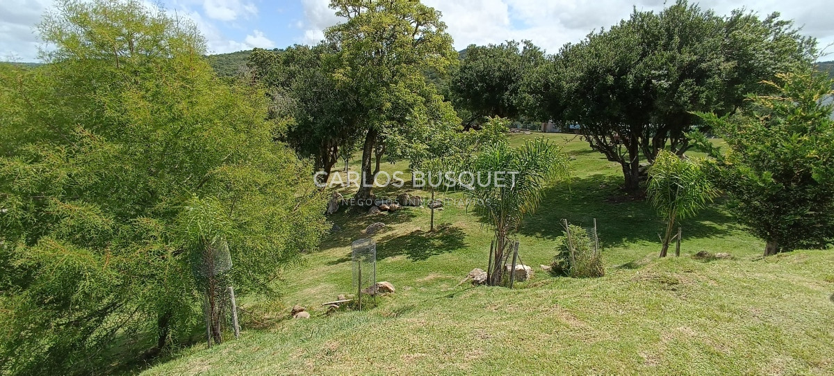 Campo Ref.546 - Campo en venta, a los pies del Cerro Catedral, Aigua