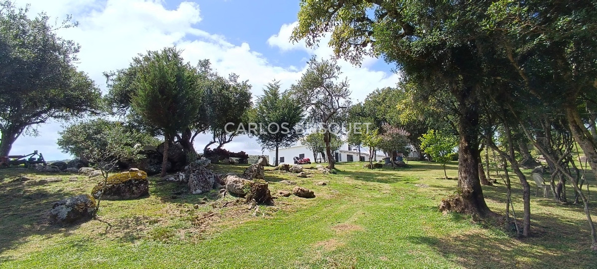 Campo Ref.546 - Campo en venta, a los pies del Cerro Catedral, Aigua