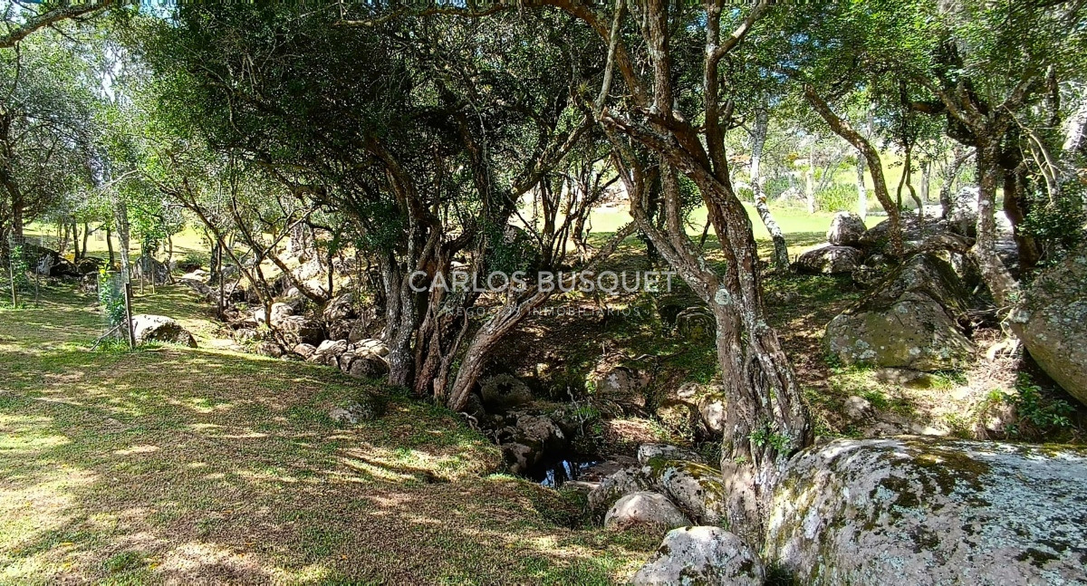 Campo Ref.546 - Campo en venta, a los pies del Cerro Catedral, Aigua