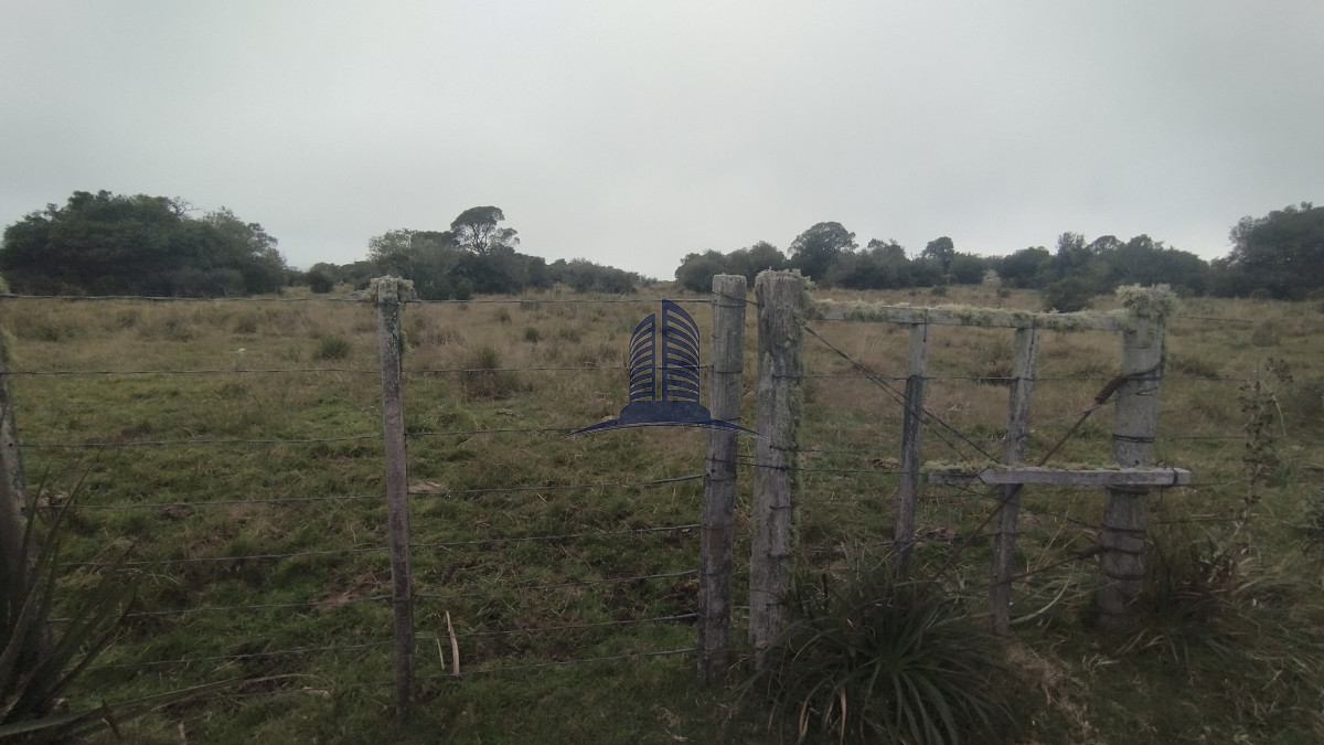 Campo en venta, Maldonado, en la zona del Cerro Catedral - GoPunta - Portal Inmobiliario de Punta del Este - Maldonado
